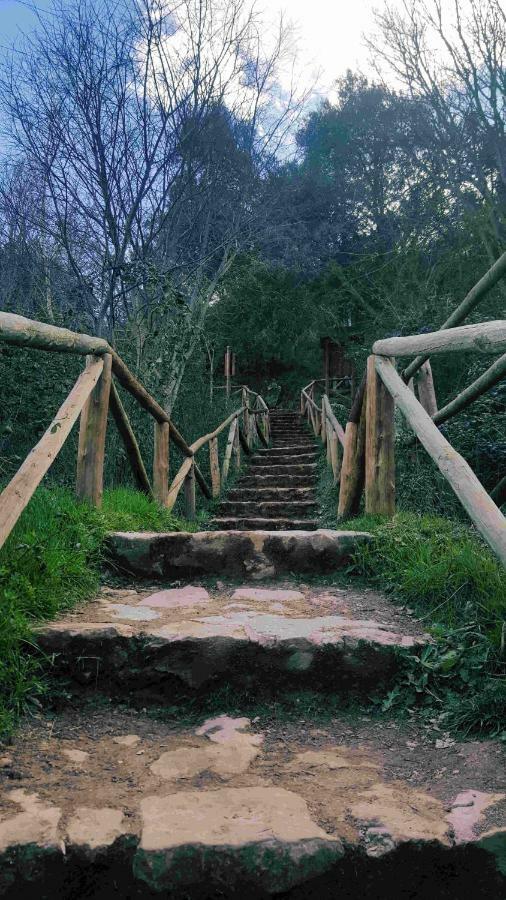 Casa Rural La Ossa Осса-де-Монтьєль Екстер'єр фото